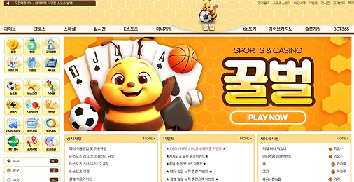 포트폴리오 11